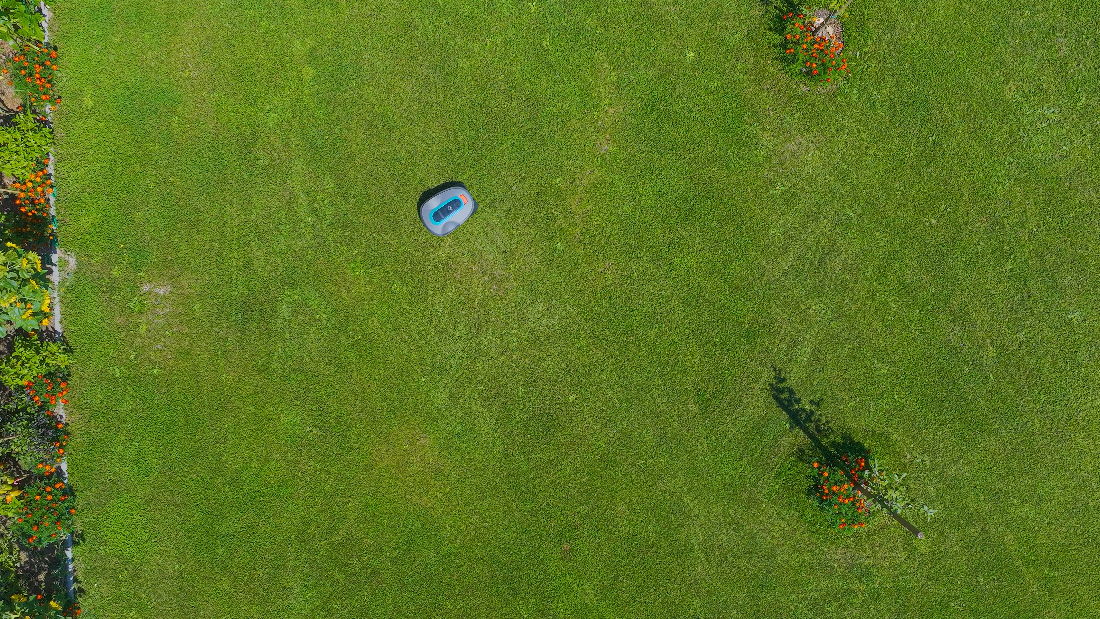 Domotique extérieure - Domoxa